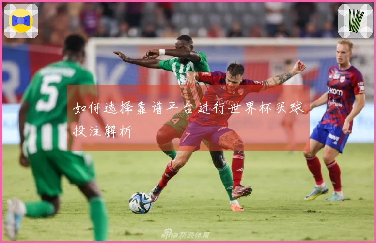 如何选择靠谱平台进行世界杯买球投注解析