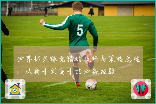 世界杯买球竞猜的技巧与策略总结，从新手到高手的必备经验