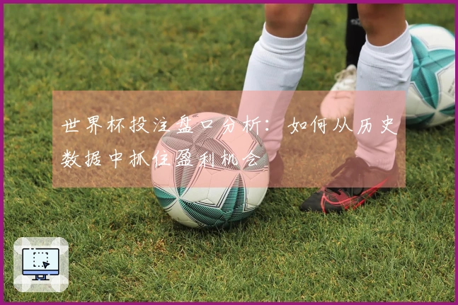 世界杯投注盘口分析：如何从历史数据中抓住盈利机会