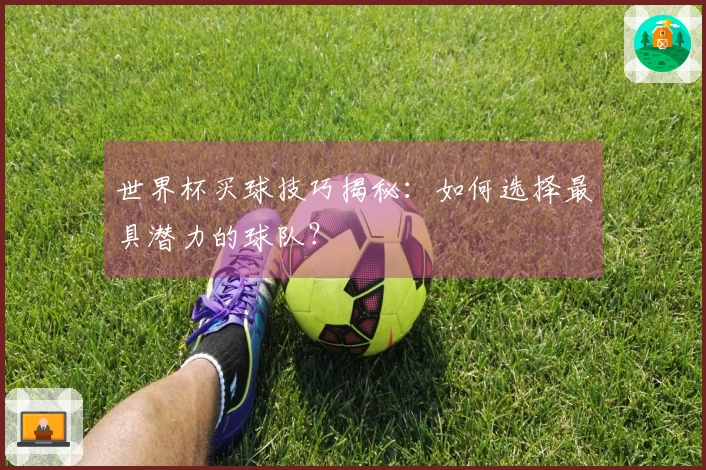 世界杯买球技巧揭秘：如何选择最具潜力的球队？