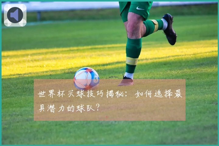 世界杯买球技巧揭秘：如何选择最具潜力的球队？
