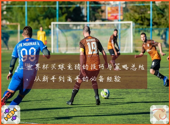 世界杯买球竞猜的技巧与策略总结，从新手到高手的必备经验